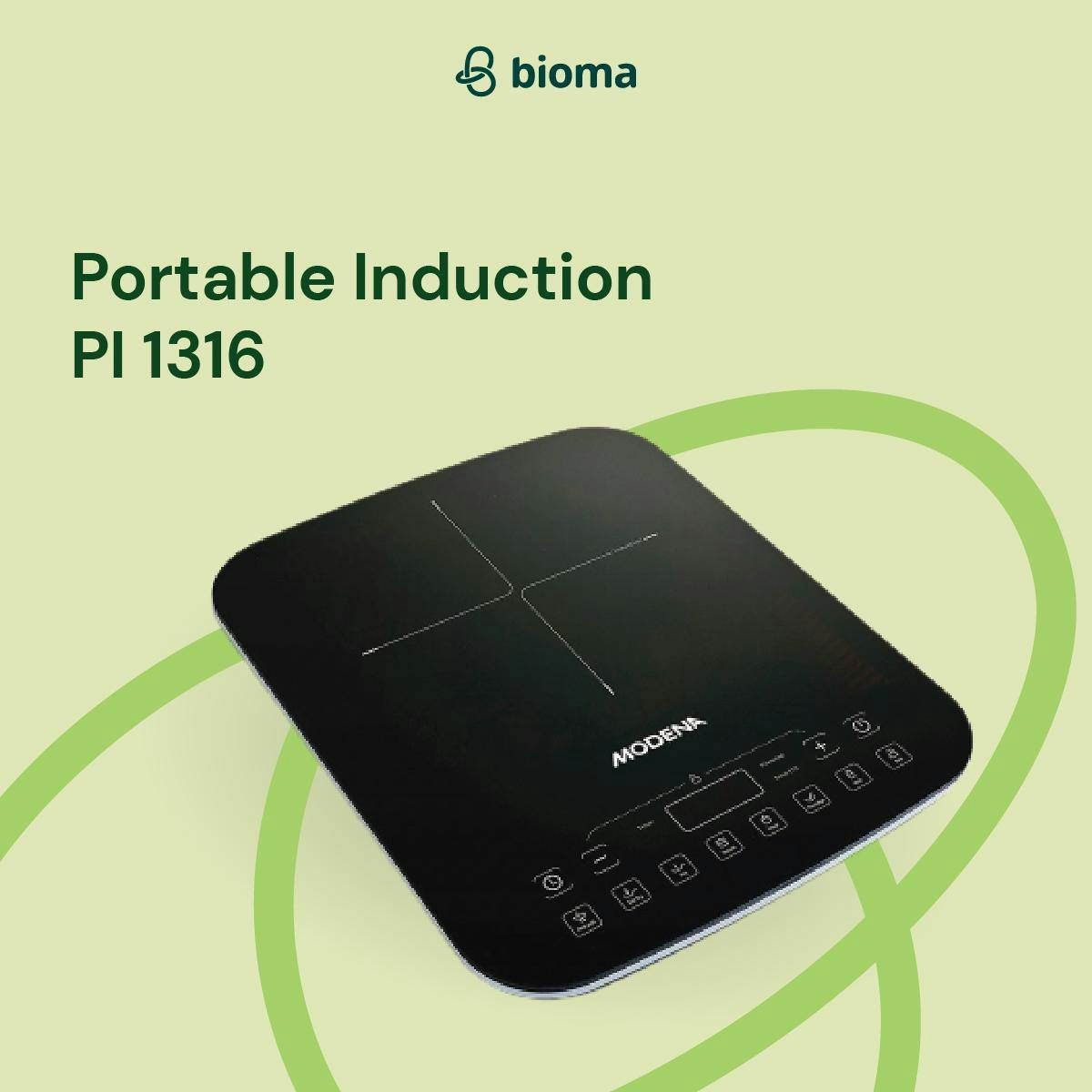 Portable Induction PI 1316