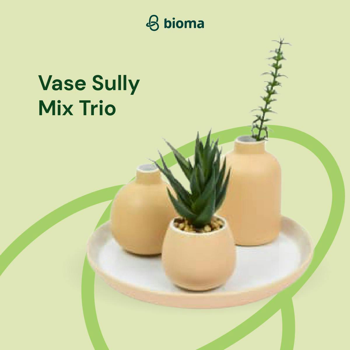 Image 472 Vase Sully Mix Trio